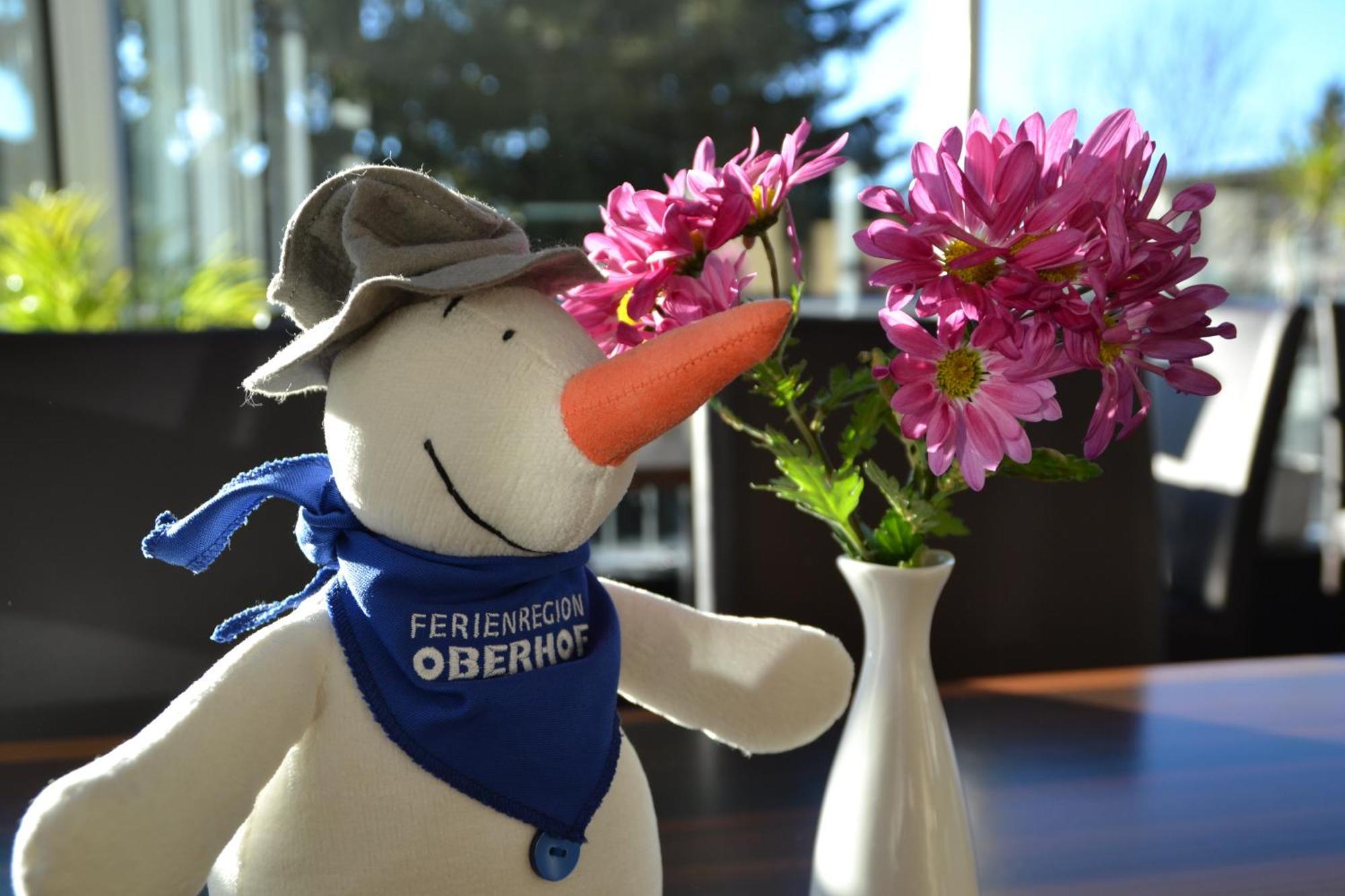 Chalet Sonnenhang Oberhof Εξωτερικό φωτογραφία