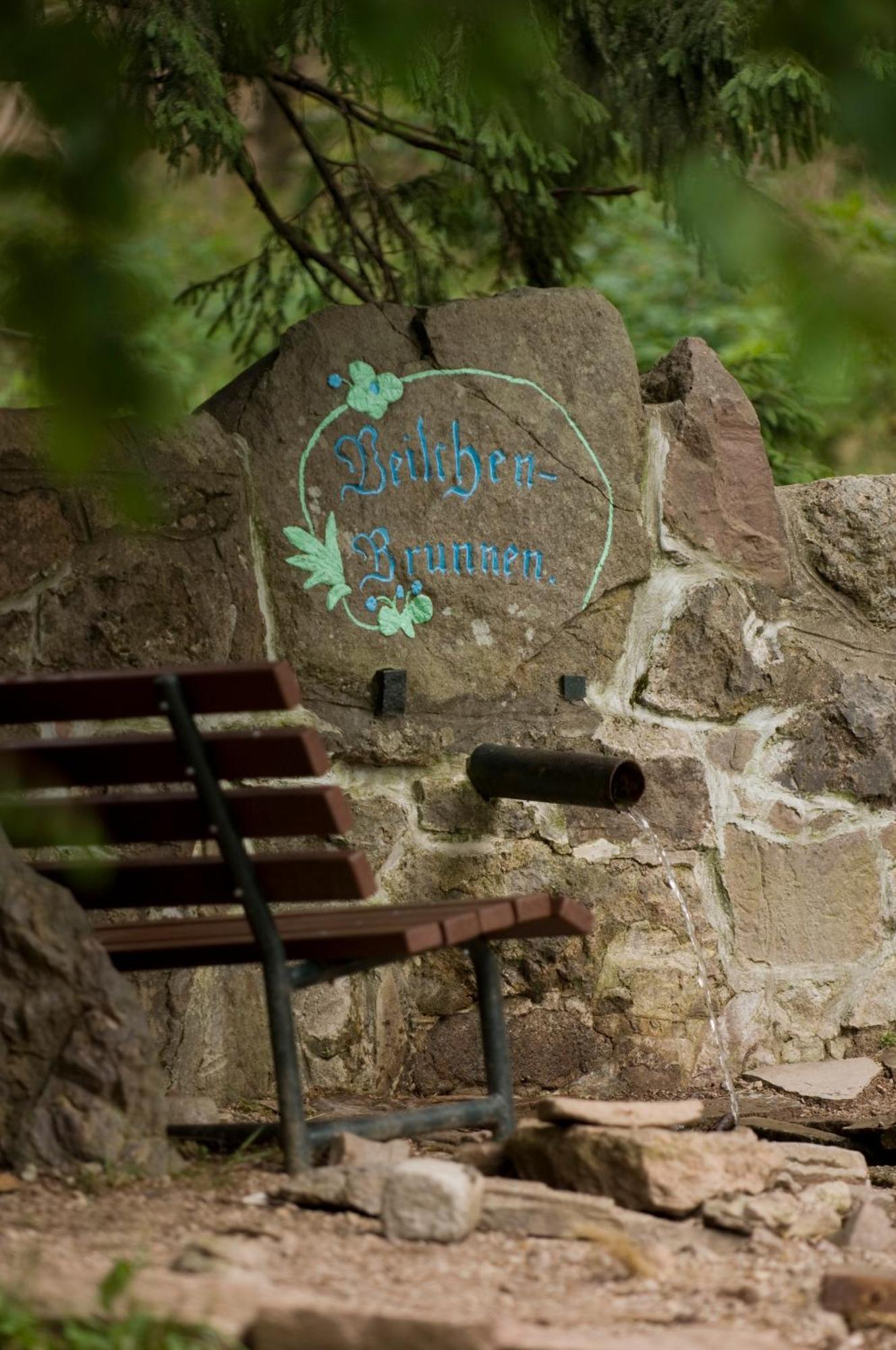 Chalet Sonnenhang Oberhof Εξωτερικό φωτογραφία
