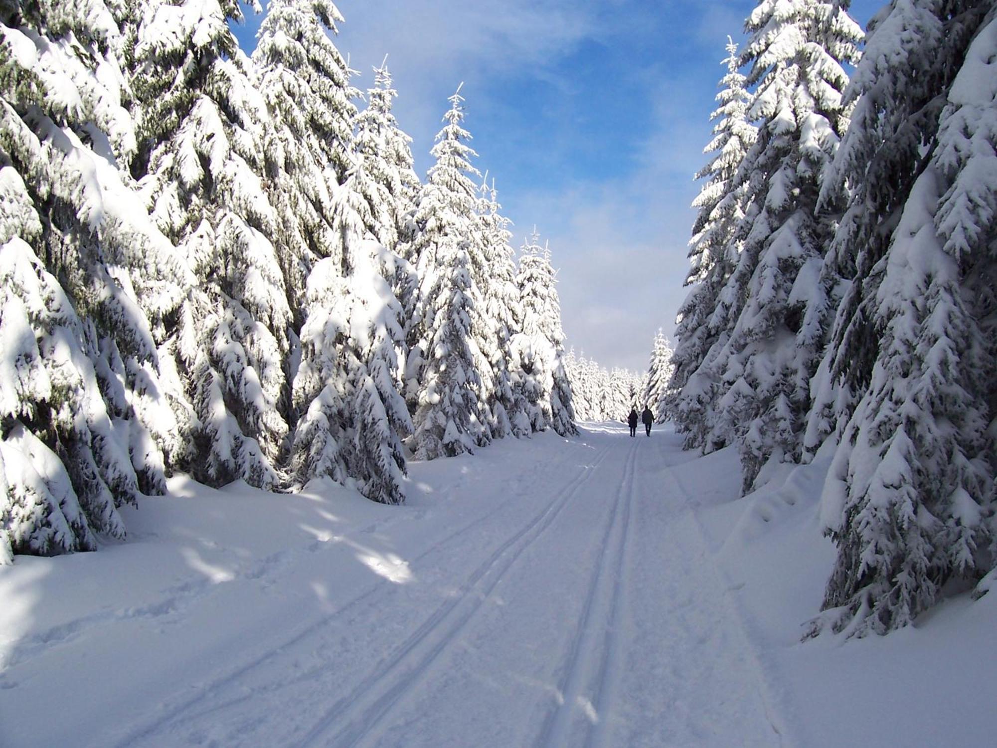 Chalet Sonnenhang Oberhof Εξωτερικό φωτογραφία